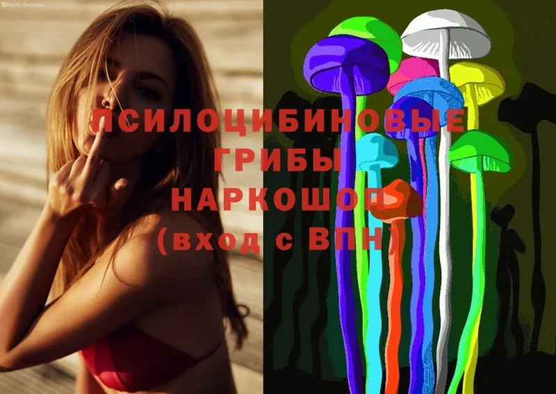 Галлюциногенные грибы Psilocybe  дарнет шоп  Губкинский 